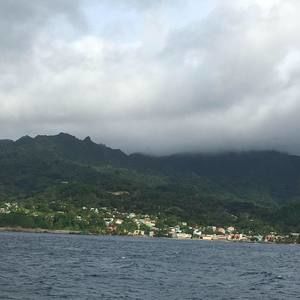 Meet your Posher, Rob